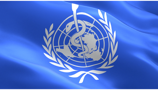 A blue flag with the world health organization logo on it.